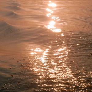 强奸乱伦黄色小说网站
